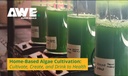 Algae Cultivation Kit